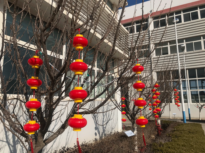 烟台HAOBO.COM好博体育(中国)科技公司化工恭祝大家2021牛年行大运